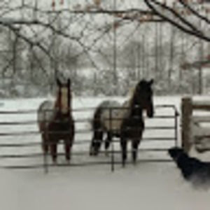 Meet your Posher, Jenny